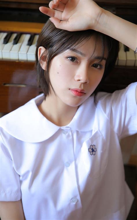 等一个晴天蝶之灵